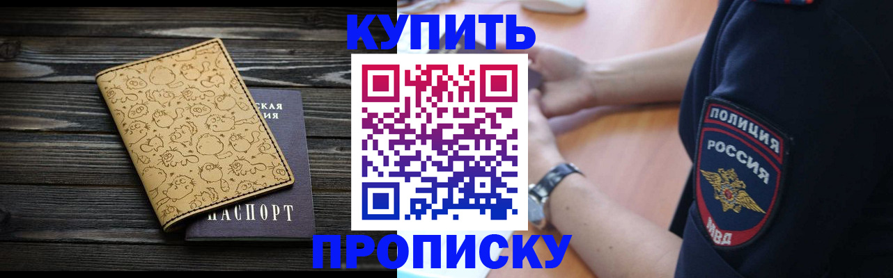 прописка гарантия в Пионерском